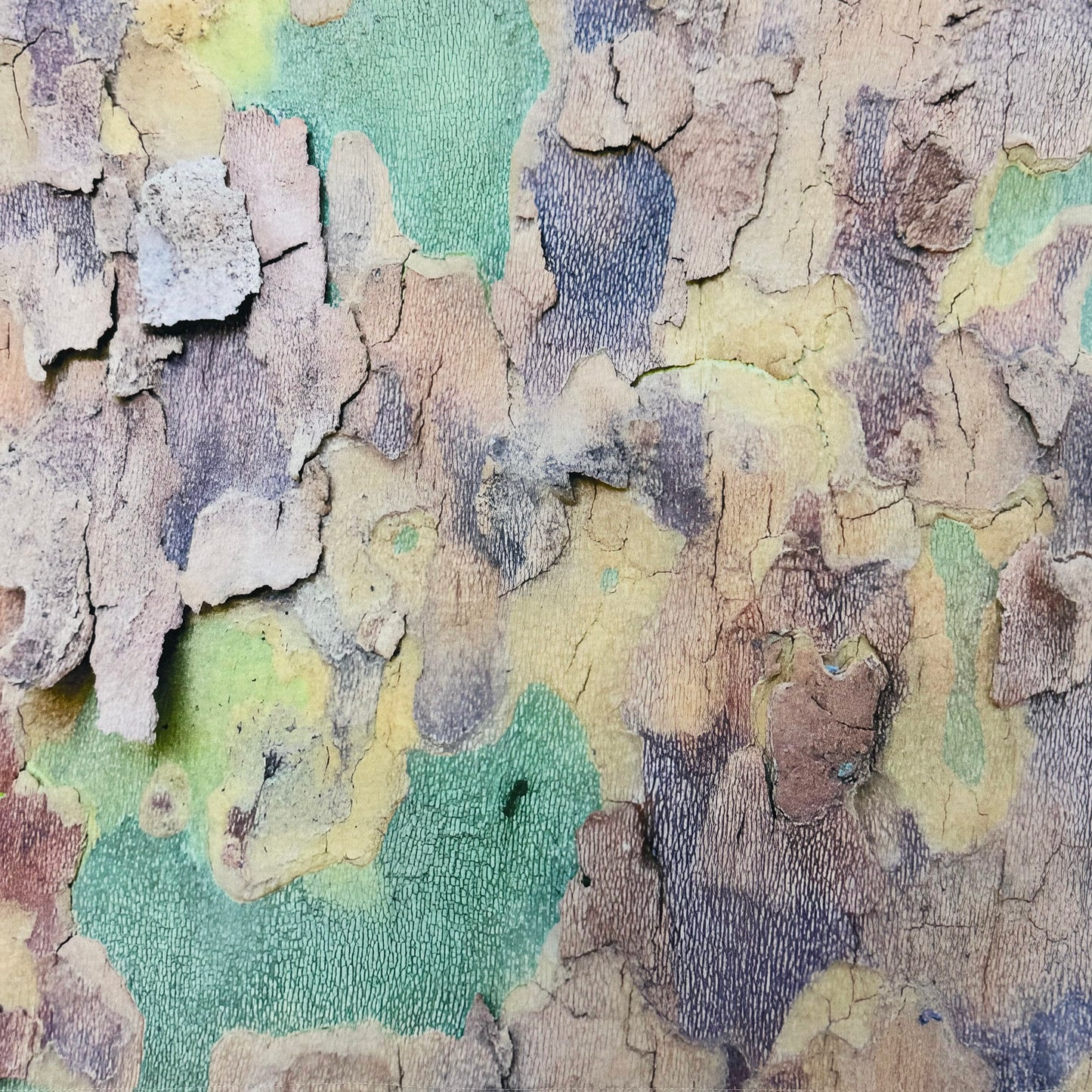 Suture Studios Tree Bark Camouflage All Over Pattern T-shirt